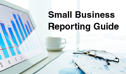 Small Business Reporting Guide