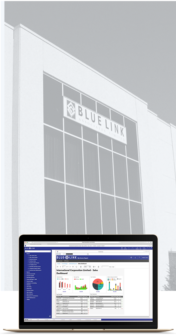 Blue Link ERP User Interface